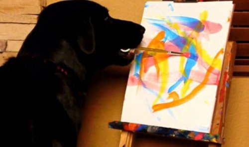 Пёс Арбор рисует картины, чтобы помочь бездомным животным (8 фото + 1 видео)