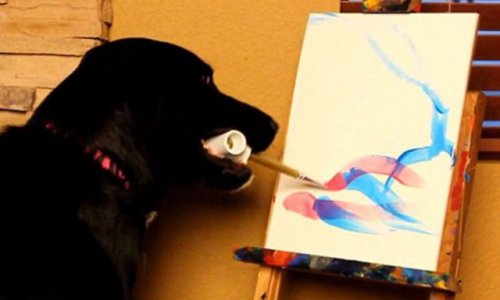 Пёс Арбор рисует картины, чтобы помочь бездомным животным (8 фото + 1 видео)