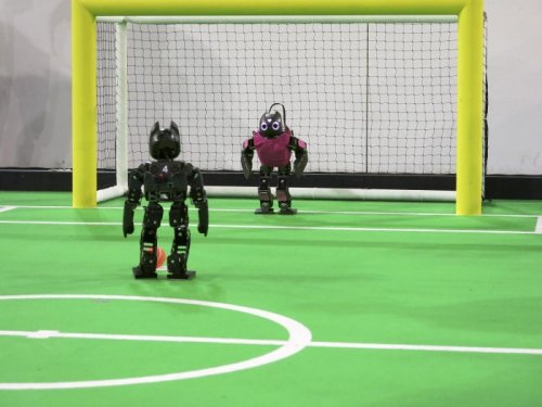 В Эйндховене состоялся RoboCup 2013 – чемпионат мира по футболу среди роботов (19 фото)