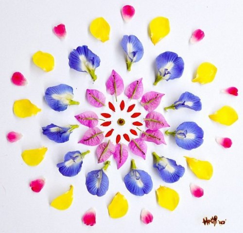 Цветочные фантазии художницы Hong Yi (14 фото)
