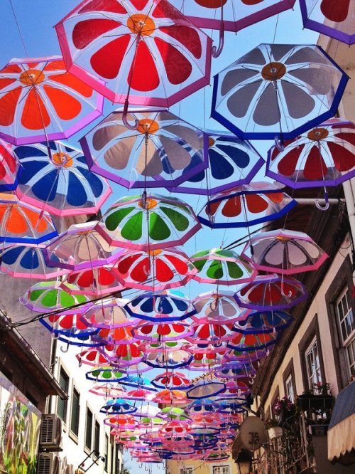 Парящие зонты на улицах Португалии (8 фото)
