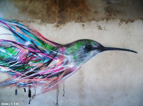 Разноцветные птицы в работах уличного художника L7M (13 фото)