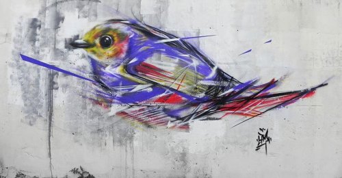 Разноцветные птицы в работах уличного художника L7M (13 фото)