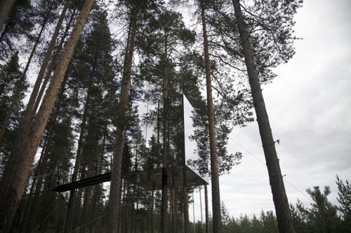 4 Самых удивительных в мире отеля на верхушках деревьев