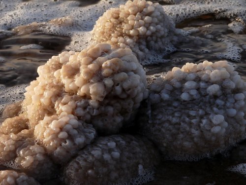 Интересные и удивительные факты о Мёртвом море (10 фото)