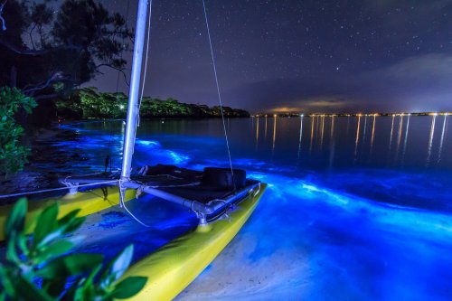 Австралийское побережье, освещённое планктоном (3 фото)