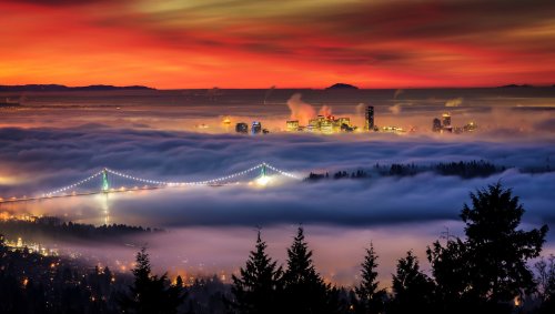 Города, окутанные туманом (14 фото)