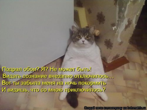 Новый сборник прикольных котоматриц (32 шт)