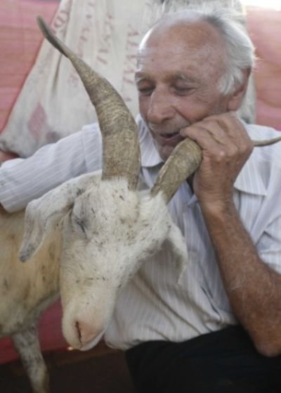Бразильский мужчина собирается жениться на своей козе в Церкви Дьявола