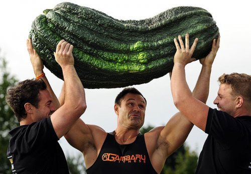 Гигантские овощи-рекордсмены (7 фото)