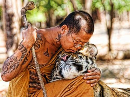Примеры невероятной дружбы между человеком и диким животным (23 фото)