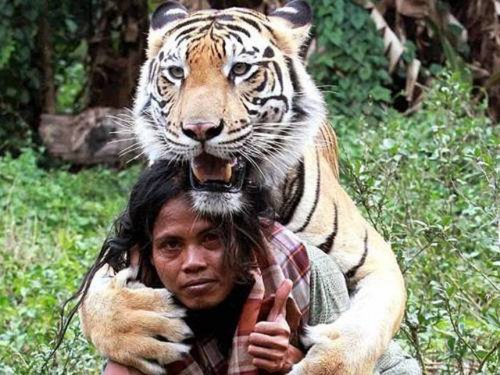 Примеры невероятной дружбы между человеком и диким животным (23 фото)