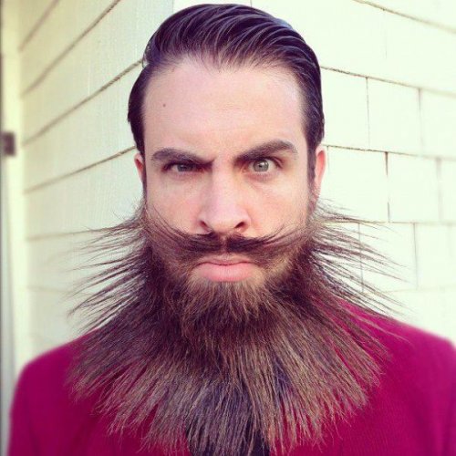 Невероятная борода Исайи Вебба (22 фото)