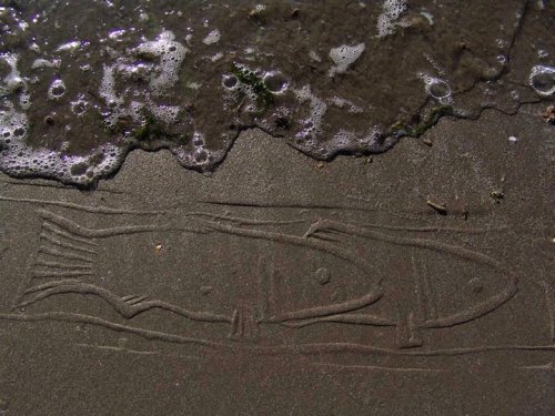 Орнаментальные рисунки на песке Ахмада Надальяна (17 фото)