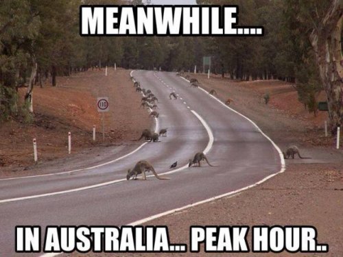 Тем временем в Австралии (28 фото)