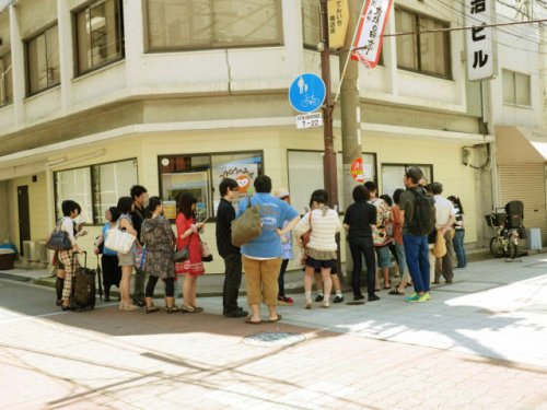 Кафе сов – новое необычное кафе в Японии, набирающее популярность (26 фото)