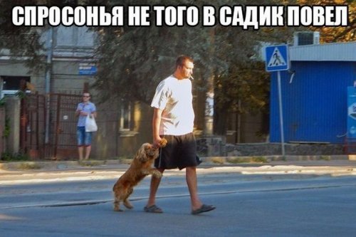 Долгожданные прикольные картинки (65 шт)