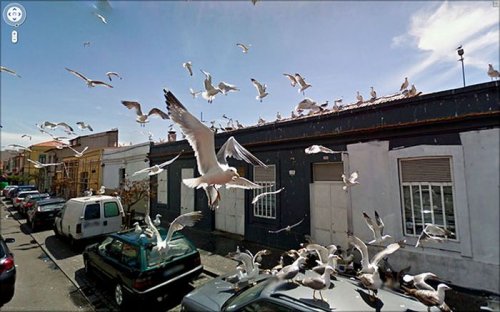 Впечатляющие фотографии Google Street View (22 фото)
