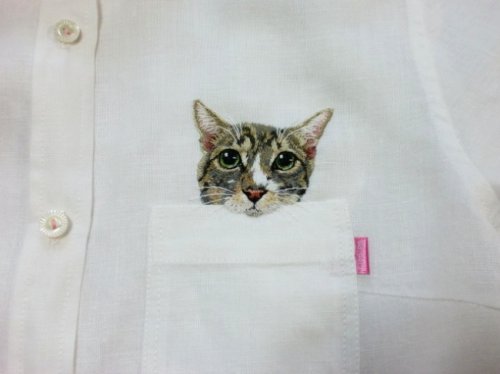 Котята в нагрудных карманах (14 фото)