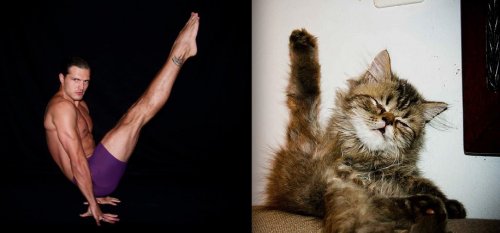 Мужчины и котята (23 фото)