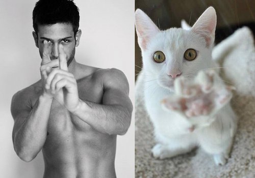Мужчины и котята (23 фото)