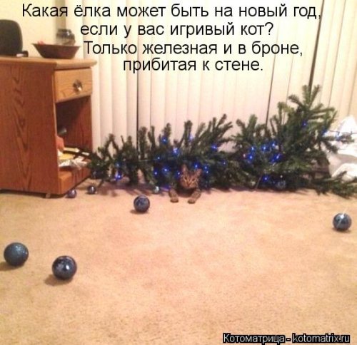 Новые чудесные котоматрицы (31 шт)