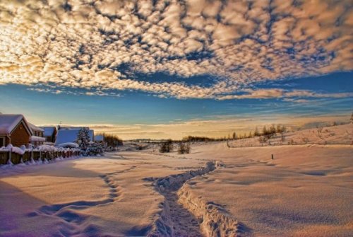 Зима в разных уголках планеты (31 фото)
