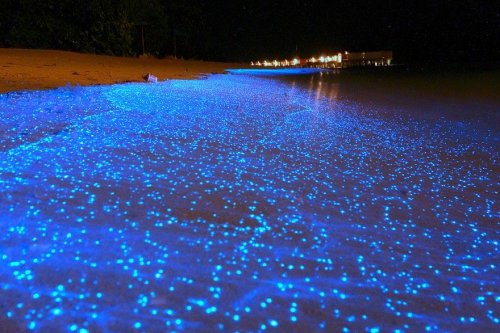 Восхитительная ночная иллюминация мальдивских пляжей (7 фото)