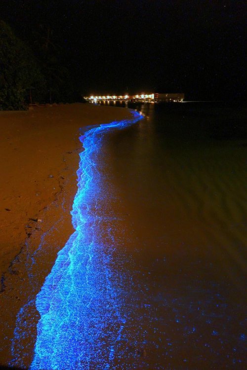 Восхитительная ночная иллюминация мальдивских пляжей (7 фото)