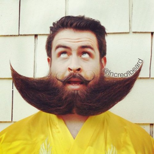 Мистер Крутая Борода и его по-настоящему впечатляющие бороды (11 фото)