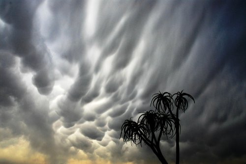 Mammatus, или вымеобразные облака (20 фото)