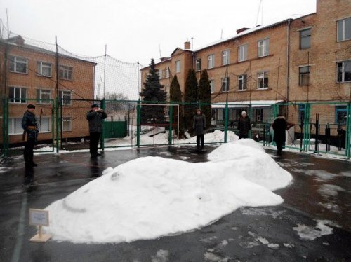 Снежные скульптуры в украинских колониях (16 фото)
