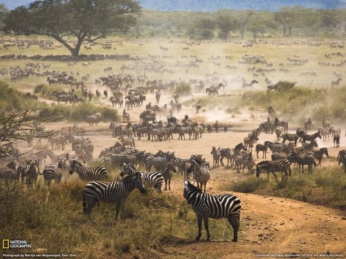 10 Интересных национальных парков Африки