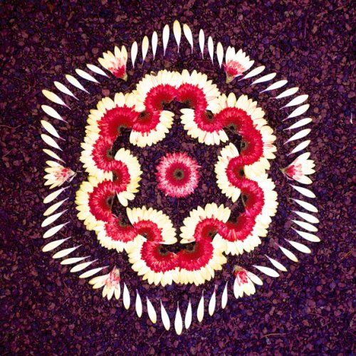 Цветочные мандалы Кэти Клейн (18 фото)