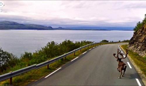 Топ-25 Самых невероятных фотографий с Google Street View