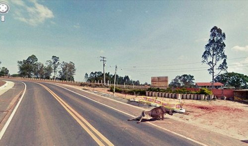 Топ-25 Самых невероятных фотографий с Google Street View