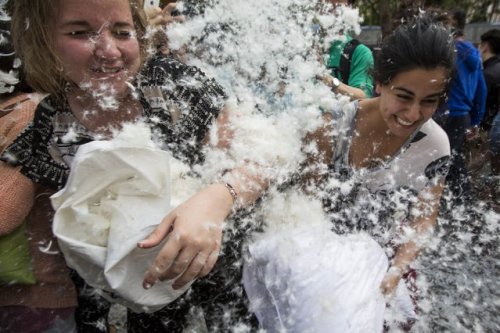 Международный день подушечного боя 2014 в разных странах (24 фото)