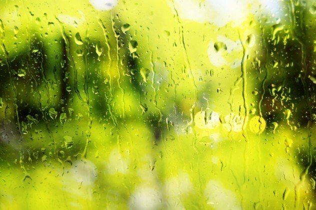 Желто зеленый дождь