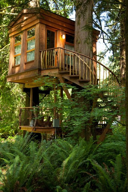 Дома на деревьях, построенные Питом Нельсоном (10 фото)