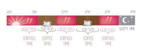 17 Интересных фактов о кофе и кофеине
