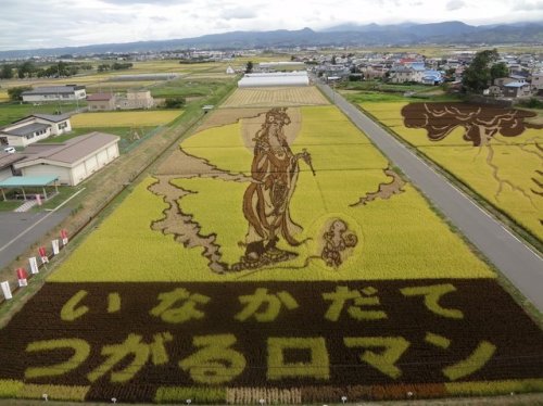 Впечатляющие рисунки на рисовых полях (27 фото)