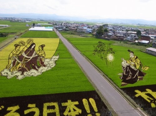 Впечатляющие рисунки на рисовых полях (27 фото)