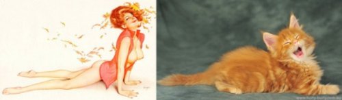 Кошки в образе пинап-девушек (18 фото)