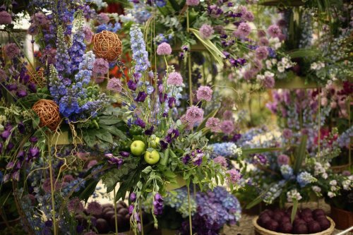 Цветочная выставка Chelsea Flower Show 2014 (24 фото)