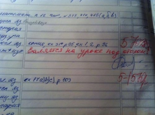 Смешные записи в школьных дневниках (13 фото)