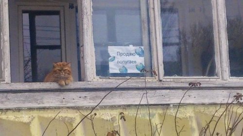 Тем временем в России… (23 фото)