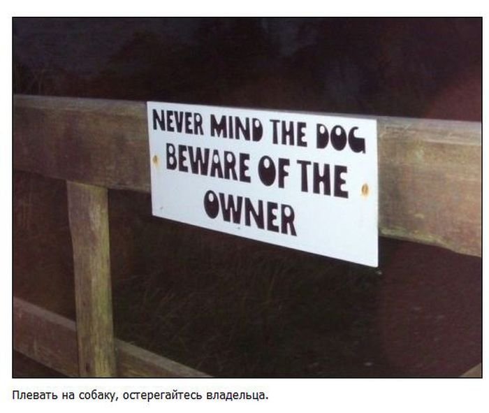 Смешные предупреждающие таблички. Странные вывески. Табличка плевать на собаку ,остерегайтесь хозяина. Кирпич остерегайтесь владельцев. Знак кстати