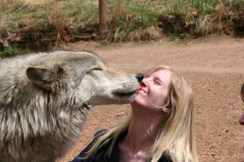 Поцелуи в мире животных (18 фото)