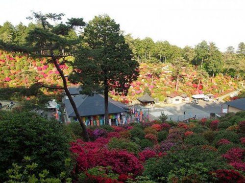 Буддийский храм Шиофуне Канон-дзи в окружении цветущей азалии (12 фото)