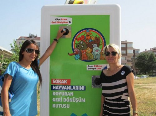 Вендинговые автоматы на улицах Стамбула кормят бездомных животных (7 фото + видео)